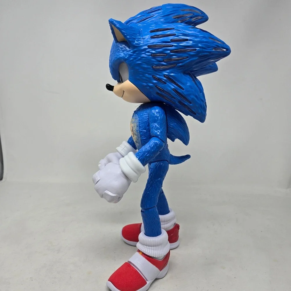 N/A sonic hedgehog